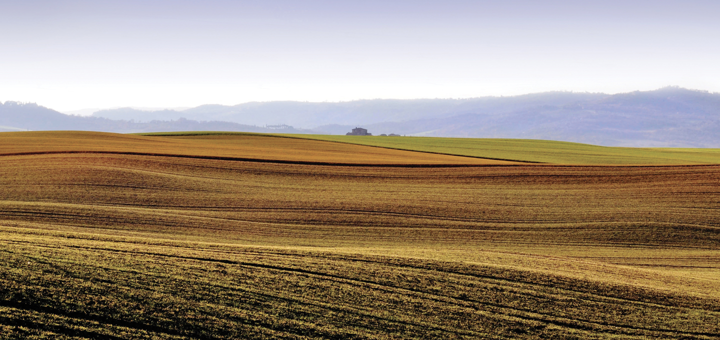 Consiglio Ricerca Agricola ed Economia Agraria